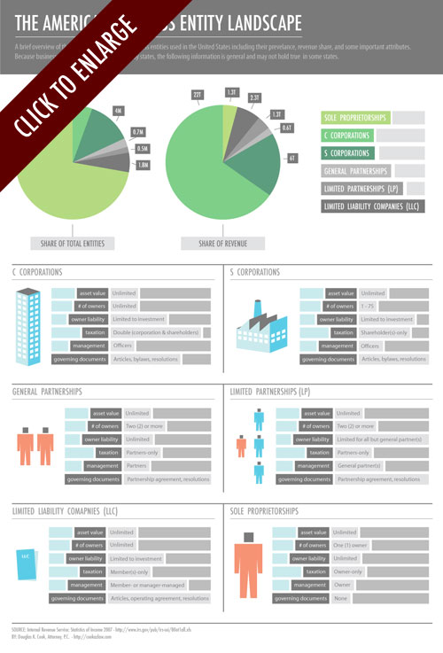 American Business Entity Infographic